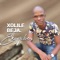 Xolile Beja (Amandwendwe) artwork