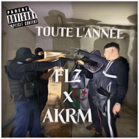 Toute l'Année (feat. AKRM) - Single - Flz