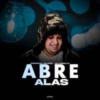 Abre Alas - Single - MC Gordinho Valioso & DJ Cabello