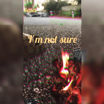 Im Not Sure - Single