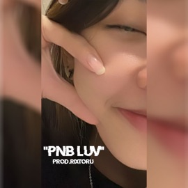 PNB luv INC