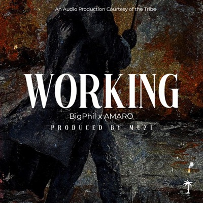 WORKING (feat. Amaro) - Single