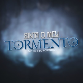 Sinta o Meu Tormento MC LD & DJ Bokinha