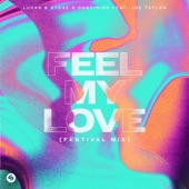 Feel My Love (feat. Joe Taylor) [Festival Mix] artwork