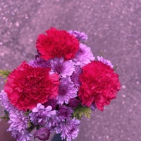 Stay - Single - The $ound