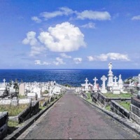 Shallow - Single - Drippin So Pretty