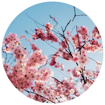 Celsius° (Underdusk Remix) - Single