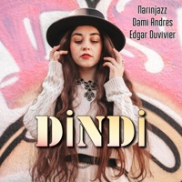 Dindi (Samba Version) (feat. Dami Andres & Edgar Duvivier) - Single - Narinjazz