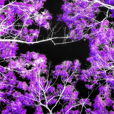 Holding On (Start) - Single