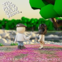 Til meg selv (Deluxe) - Joakim Eie & SpaceWave