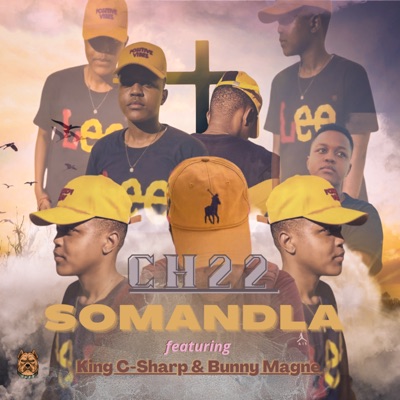 Somandla (feat. King C-Sharp & Bunny Magne) - Single