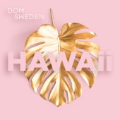 Hawaii artwork