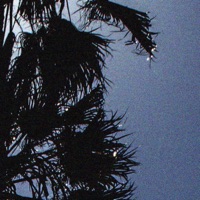 Test Drive (feat. Danny G Beats & Jenry) - Single - Jakesand