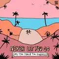 NEVER LET YOU GO