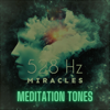 528 Hz Miracles Meditation Tones, Full Body Healing, Cell Regeneration Therapy, Meditative Detox, DNA Healing - Deep Sleep, 528 Hz Music & Meditation Music Zone