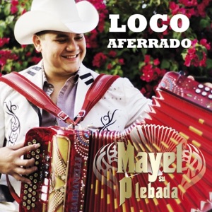 Loco Aferrado