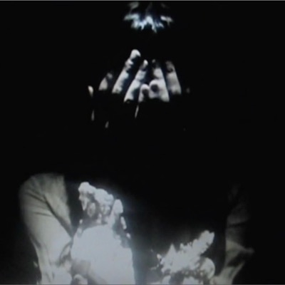 All the Birds Flew From the Sky - Single