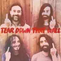 Tear Down That Wall — The Bright Light Social Hour
