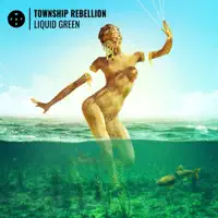 Liquid Green — Township Rebellion