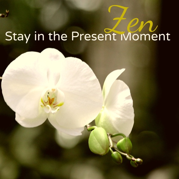 Zen - Stay in the Present Moment