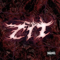 Zit - Single - Tin KDVR