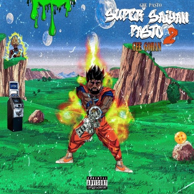 Super Saiyan Pasto 2 "Gee Gohan"