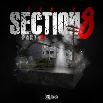 Section 8 Part 2