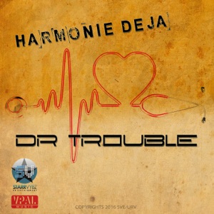 Dr Trouble