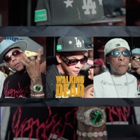 Walking Dead (Remix) - Single - NIÑO RAIDY, Black Jonas Point & Yay Asiido