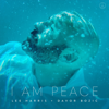 I Am Peace - Lee Harris & Davor Bozic