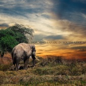 Morning Safari in South Africa artwork