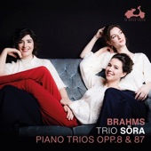 Piano Trio No. 1 in B Major, Op. 8: I. Allegro con brio artwork