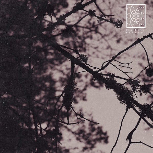 Coma EP