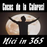 Nici in 365 — Cocos de la Calarasi