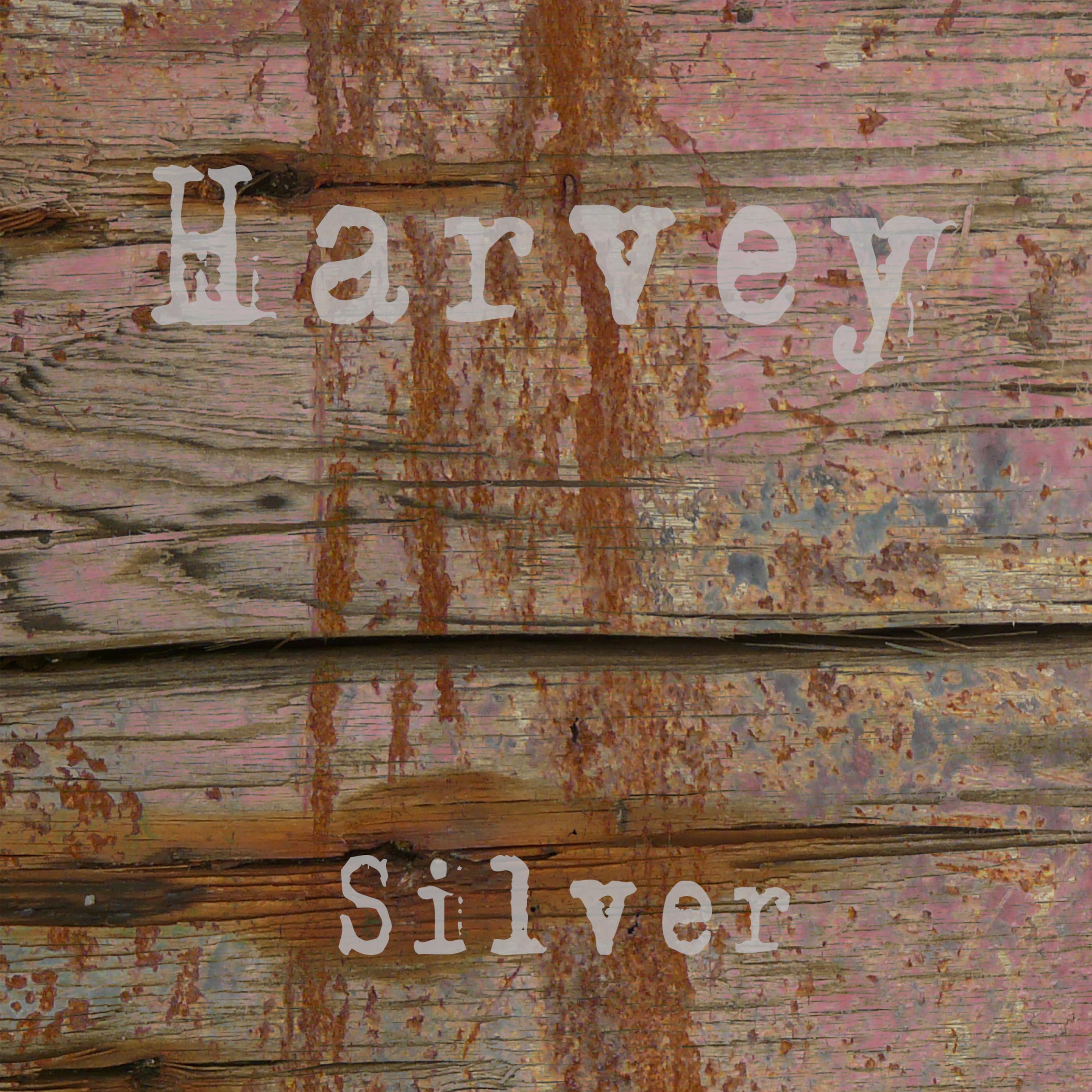 Silver - Single