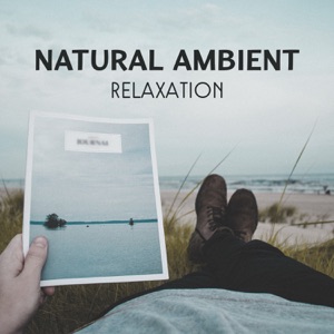 Natural Ambient Relaxation – Pleasent Sounds for Meditation, Beauty Zone, Total Silence and Golden Slumber, Inner Peace