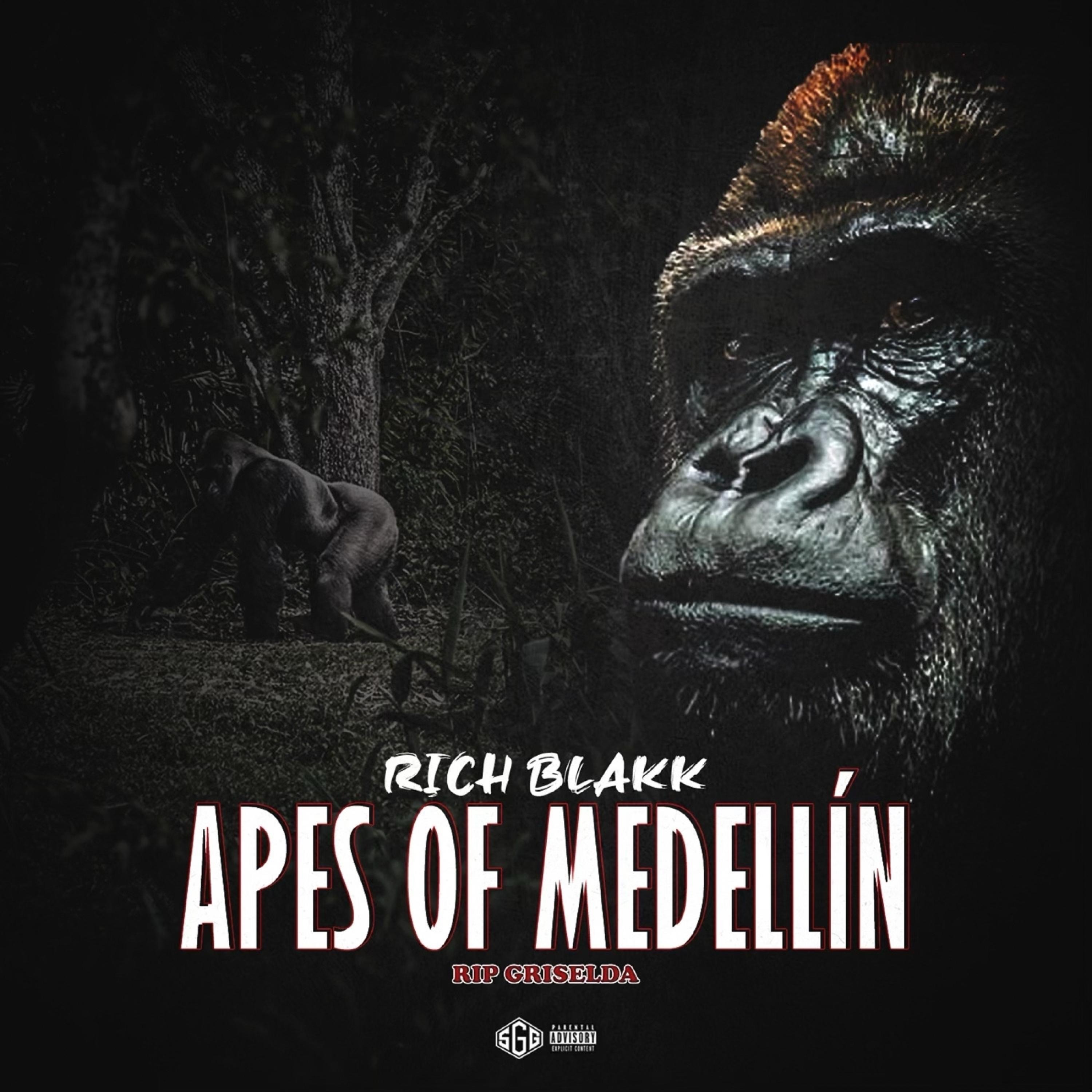 Apes From Medellín