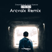 Synergy (Arcvalx Remix) artwork