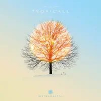 Tropicale — The DJ Grid