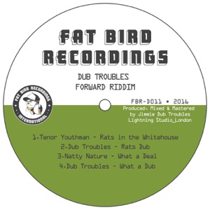Dub Troubles Forward Riddim (feat. Tenor Youthman) - EP