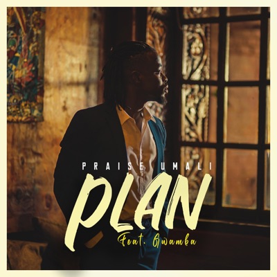 Plan (feat. Gwamba) - Single