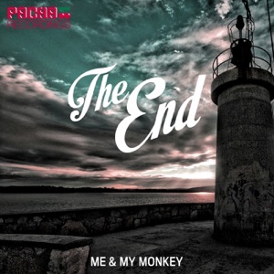 The End - Single