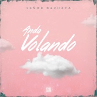 Anda volando - Single - maymoneymusic & Senor Bachata