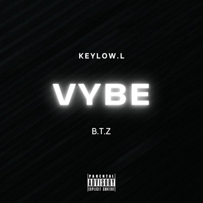 Vybe (feat. B.T.Z) - Single