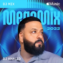 2022 MegaMix (DJ Mix)