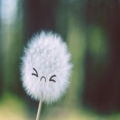 bran new luv song (feat. bat64) - Single