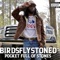 Pocket Full of Stones - BirdsFlyStoned lyrics