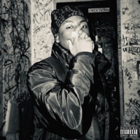 They Been Fed(R) - Single - Lil Jube