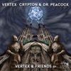 Vertex & Friends - EP