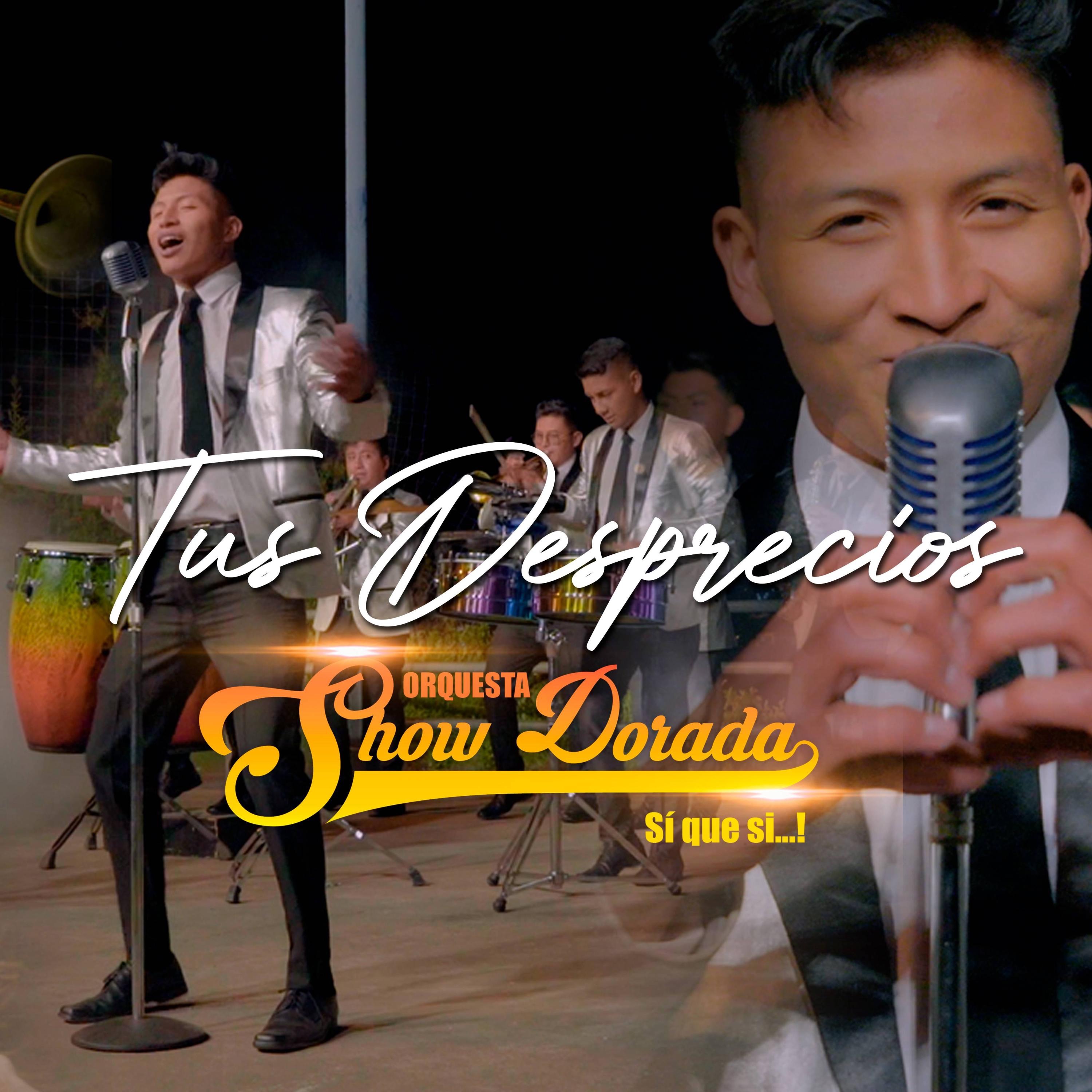 Tus Desprecios - Single